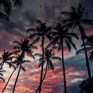 Meet your Posher, Paul